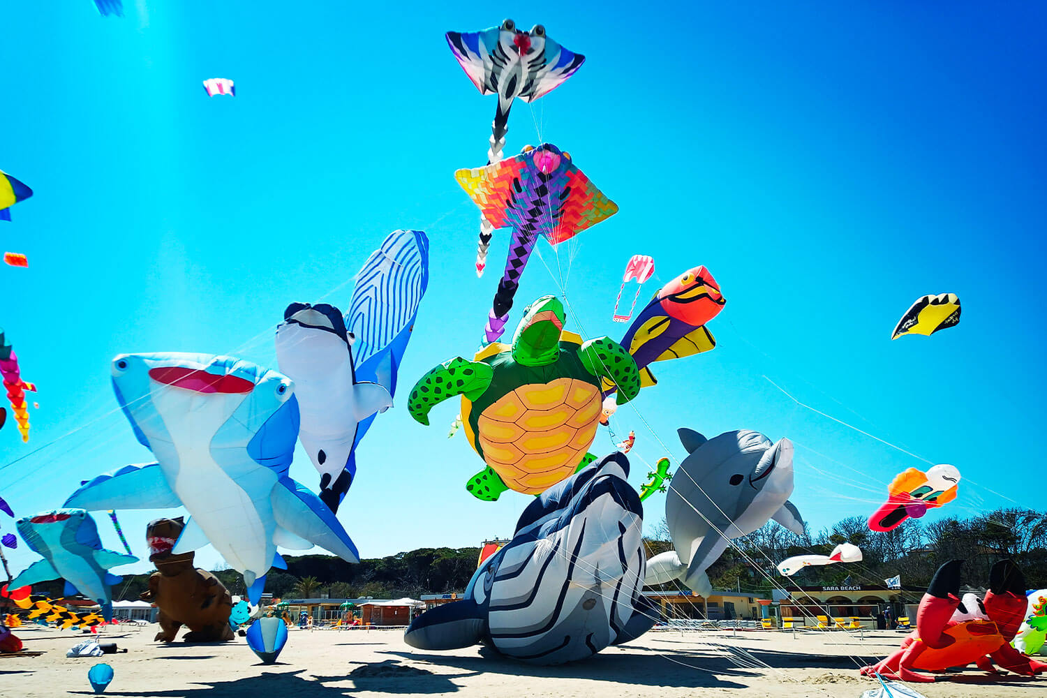 Festival-internazionale-dell'aquilone_2