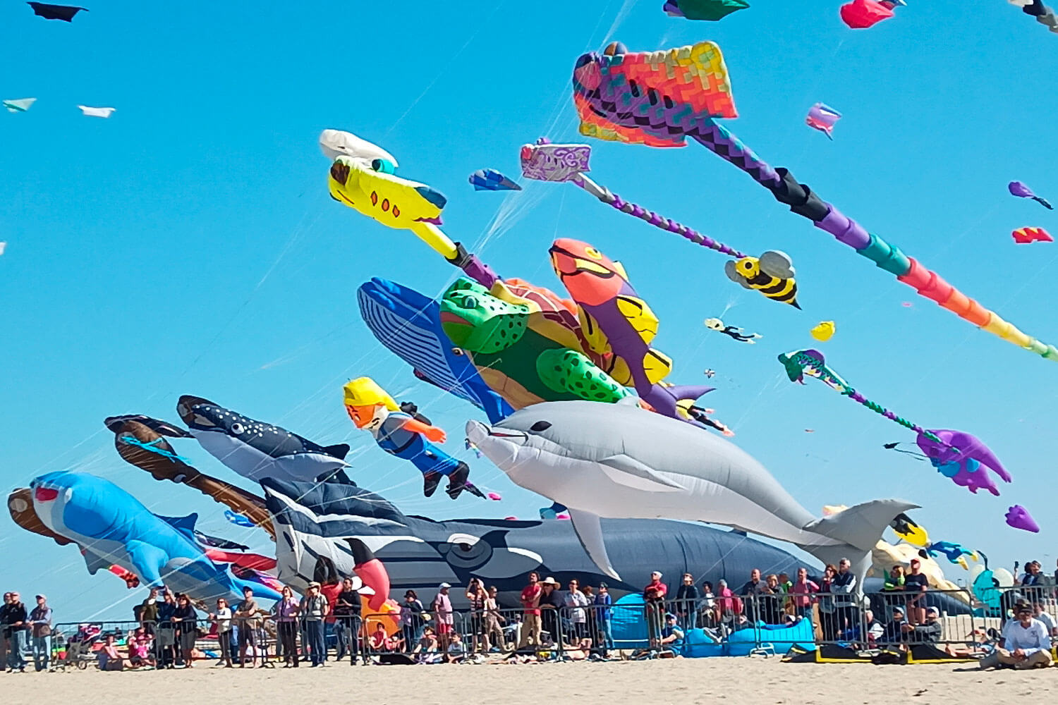 Festival-internazionale-dell'aquilone_3