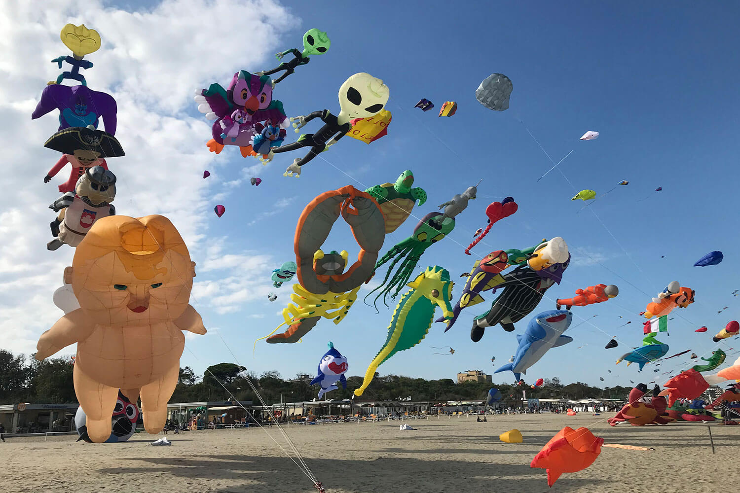 Festival-internazionale-dell'aquilone_7